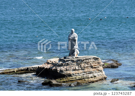 南知多聖崎河津桜とうぐいす 123743287