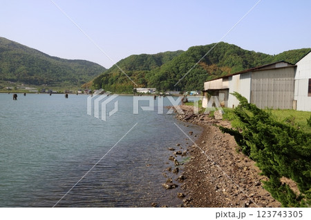 引揚桟橋から望む風景 123743305