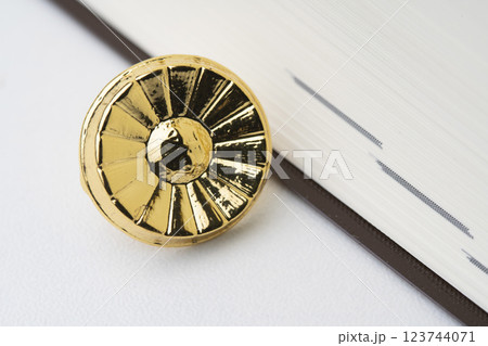 弁護士バッチイメージ 弁護士バッチイメージ 123744071