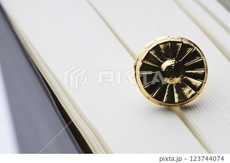 弁護士バッチイメージ 123744074