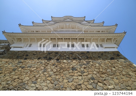 世界遺産天守を見上げる 123744194