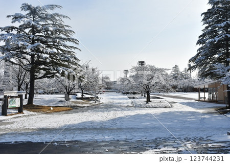 開成山公園 雪の風景 開成山公園 雪の風景 123744231