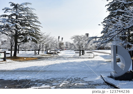 開成山公園　雪の風景 123744236