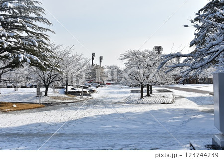 開成山公園 雪の風景 開成山公園 雪の風景 123744239