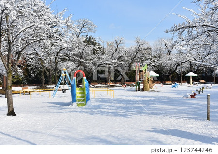 開成山公園　雪の風景　遊具 123744246