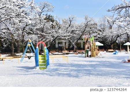 開成山公園　雪の風景　遊具 123744264