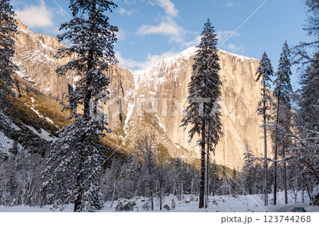 Snow-covered yosemite valley 123744268