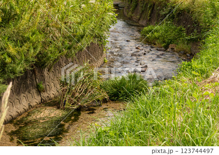 自然豊かな川のある風景【佐賀県鳥栖市原古賀町 新鳥栖駅付近】 自然豊かな川のある風景【佐賀県鳥栖市原古賀町 新鳥栖駅付近】 123744497