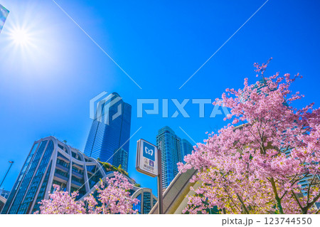 日本の東京都市景観 新時代へ…桜…(外国人観光客らで賑わう)麻布台ヒルズなどを望む=令和7年3月7日 日本の東京都市景観 新時代へ…桜…(外国人観光客らで賑わう)麻布台ヒルズなどを望む=令和7年3月7日 123744550