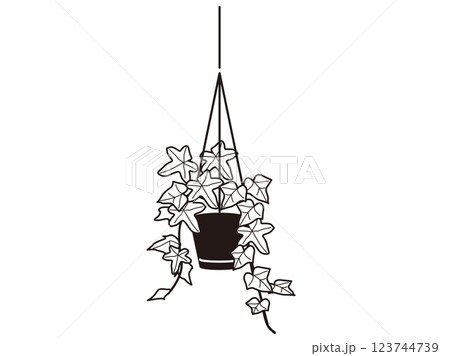 吊り下げるアイビー　白黒 123744739