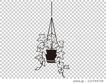 吊り下げるアイビー　白黒 123744739