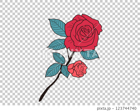 Colored Roses 123744740