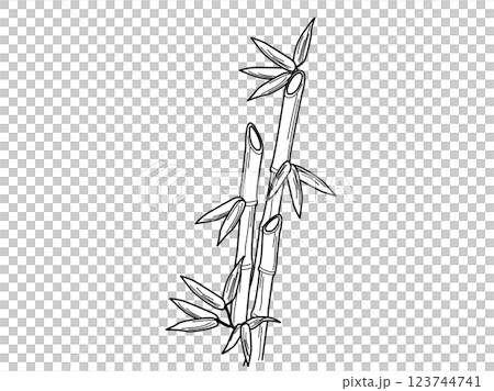 竹のラインアート 123744741