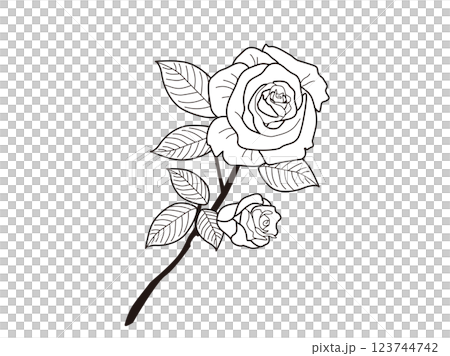Black and white rose line art Black and white rose line art 123744742