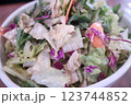 野菜サラダ 野菜サラダ 123744852