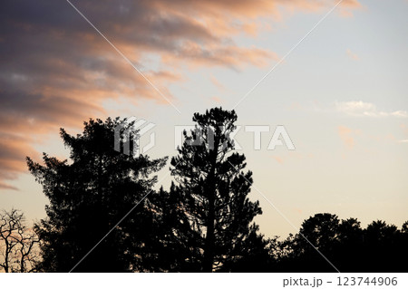 青空から徐々に赤黒い雲が迫ってきた秋の空 123744906