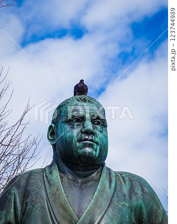 東京都上野区、西郷さんと同じ方を向くハト 123744989