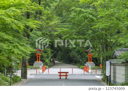 京都　下鴨神社参道　新緑の糺の森 123745009