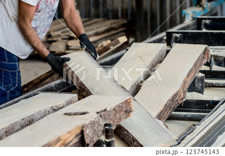 Modern sawmill. Industry sawing boards from logs Modern sawmill. Industry sawing boards from logs 123745143