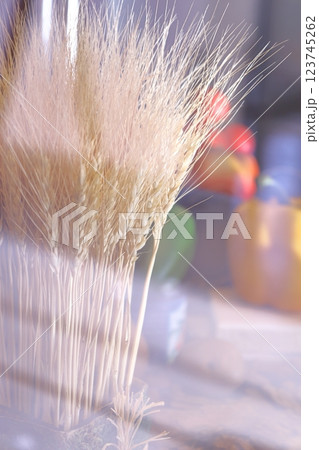 北海道産　穀物イメージ 123745262