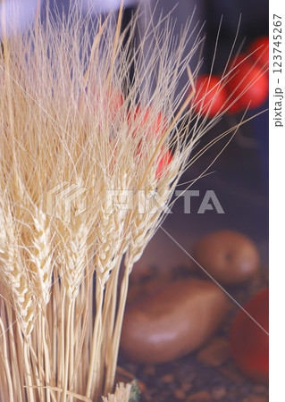 北海道産 穀物イメージ 北海道産 穀物イメージ 123745267