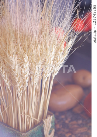 北海道産　穀物イメージ 123745268