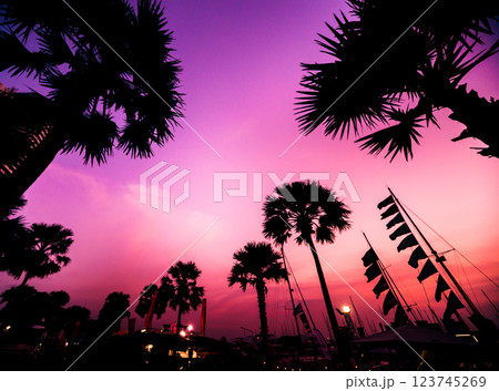 Beautiful sunset sky in the marina bay. View of harbor with yachts Beautiful sunset sky in the marina bay. View of harbor with yachts 123745269