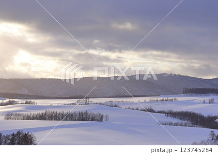 《北海道》冬の上富良野雪原風景　モノクロの世界 123745284