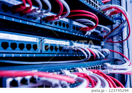 Network switch and ethernet cables in red and white colors. Data Center 123745294