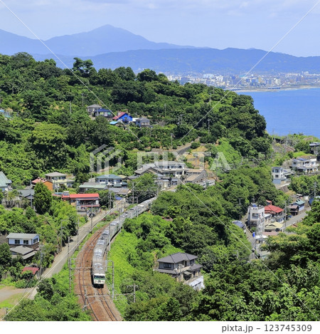 踊り子号 123745309