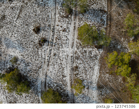 White samet or cajuput trees in wetlands forest at koh prathong island,Phang nga Thailand,Greenery botanic forest,Drone wide angle lens White samet or cajuput trees in wetlands forest at koh prathong island,Phang nga Thailand,Greenery botanic forest,Drone wide angle lens 123745386
