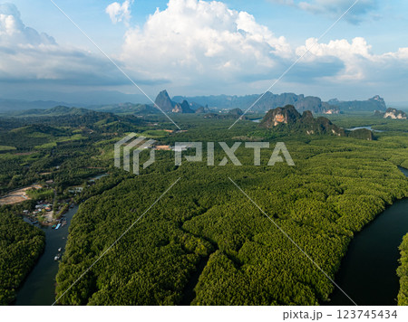 Amazing abundant mangrove forest,Aerial view of forest trees Rainforest ecosystem and healthy environment background,Texture of green trees forest top down,High angle view 123745434