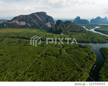 Amazing abundant mangrove forest,Aerial view of forest trees Rainforest ecosystem and healthy environment background,Texture of green trees forest top down,High angle view Amazing abundant mangrove forest,Aerial view of forest trees Rainforest ecosystem and healthy environment background,Texture of green trees forest top down,High angle view 123745435