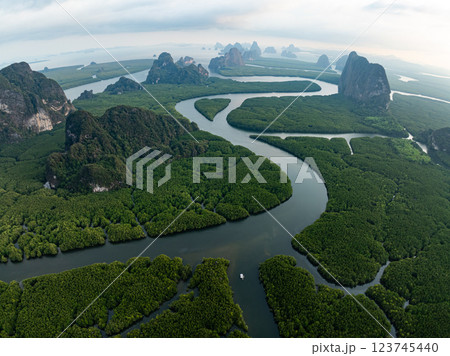 Amazing abundant mangrove forest,Aerial view of forest trees Rainforest ecosystem and healthy environment background,Texture of green trees forest top down,High angle view Amazing abundant mangrove forest,Aerial view of forest trees Rainforest ecosystem and healthy environment background,Texture of green trees forest top down,High angle view 123745440