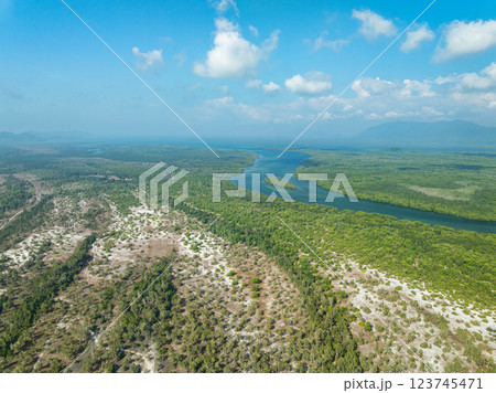 White samet or cajuput trees in wetlands forest at koh prathong island,Phang nga Thailand,Greenery botanic forest,Drone wide angle lens White samet or cajuput trees in wetlands forest at koh prathong island,Phang nga Thailand,Greenery botanic forest,Drone wide angle lens 123745471