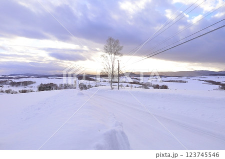 《北海道》冬の上富良野雪原風景　モノクロの世界 123745546