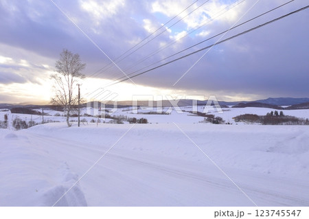 《北海道》冬の上富良野雪原風景　モノクロの世界 123745547