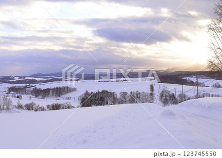 《北海道》冬の上富良野雪原風景　モノクロの世界 123745550