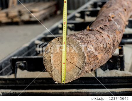 Modern sawmill. Industry sawing boards from logs 123745642