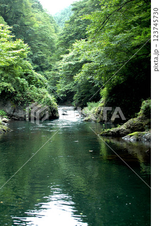 深城ダム下流の静かで不気味な深トロ、 深城ダム下流の静かで不気味な深トロ、 123745730