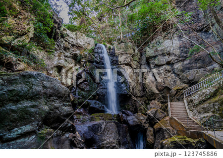 新緑に映える滝 123745886