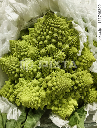 Vibrant green cauliflower on a grocery background 123746209