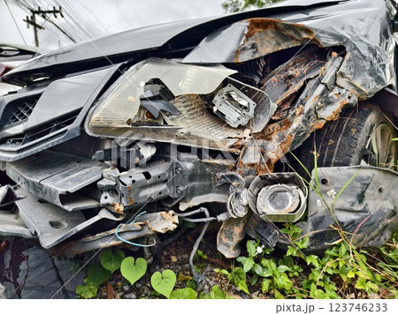 Abandoned cars after accidents in a dense overgrown setting 123746233