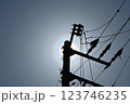 花粉光環 123746235
