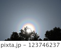 花粉光環 123746237