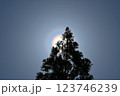 花粉光環 123746239