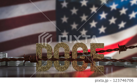 The Doge and coins on USA flag Background  3d Rendering. 123746706