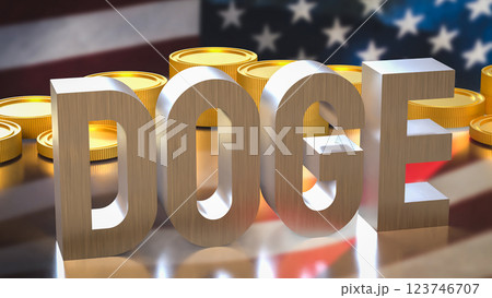 The Doge and coins on USA flag Background  3d Rendering. 123746707