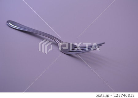 フォーク フォーク 123746815