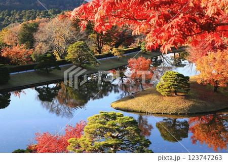 紅葉のある風景 123747263